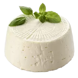 Imagen PNG para descargar